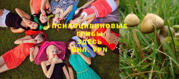 марки nbome Горнозаводск