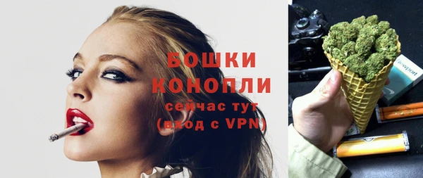 гашик Горняк