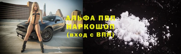 гашик Горняк