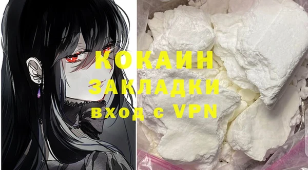 гашик Горняк