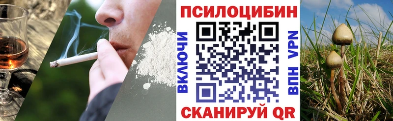 Купить закладки  Феодосия  Галлюциногенные грибы GOLDEN TEACHER 